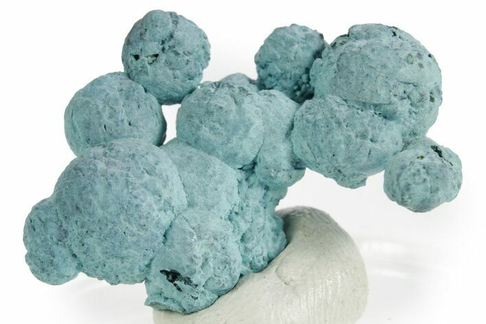 Blue Botryoidal Shattuckite Formation - Namibia #363772